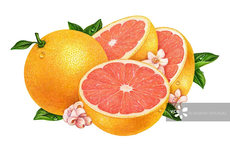 柚果提取物